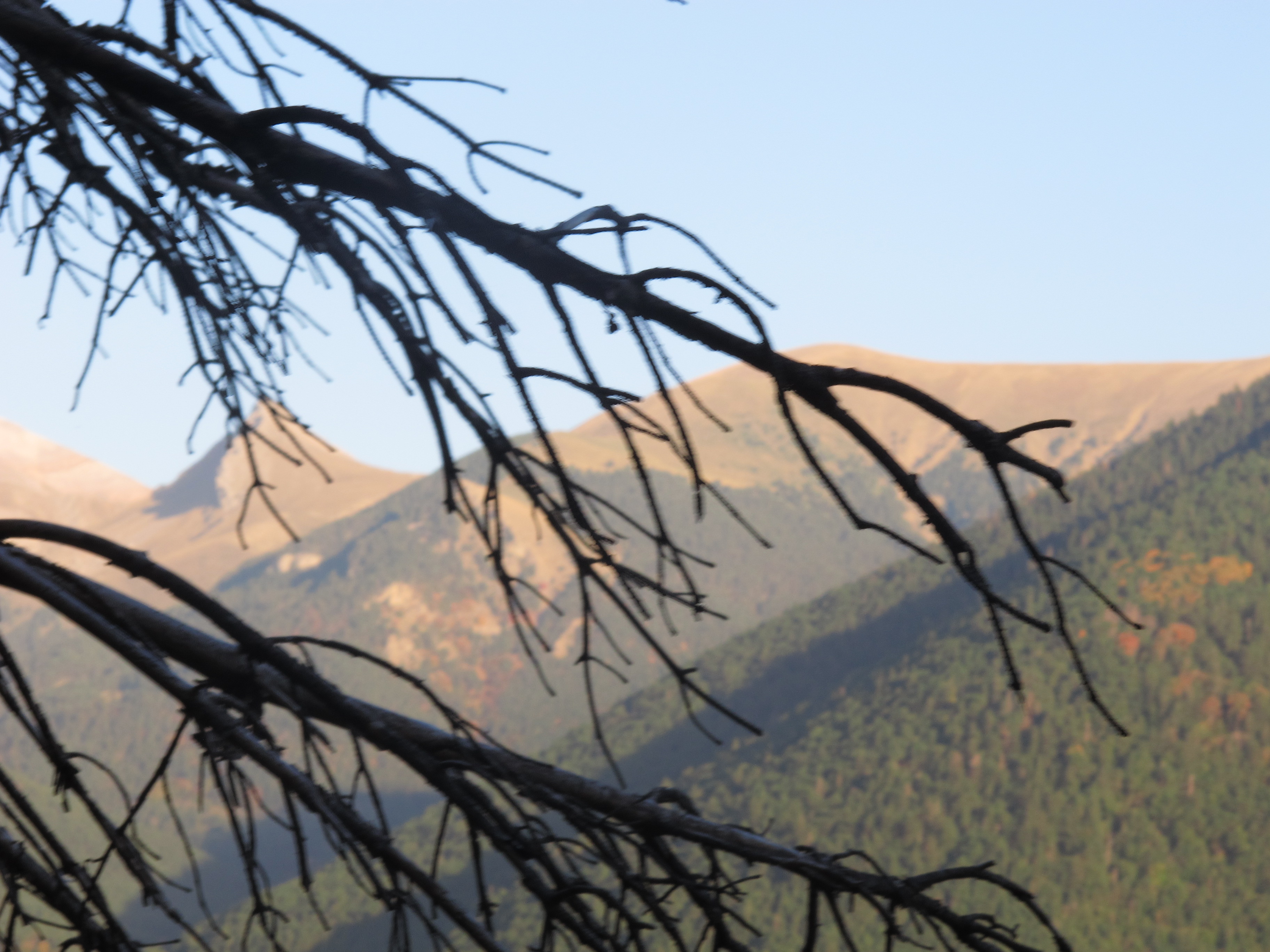 Alto de la Rapeda (3)