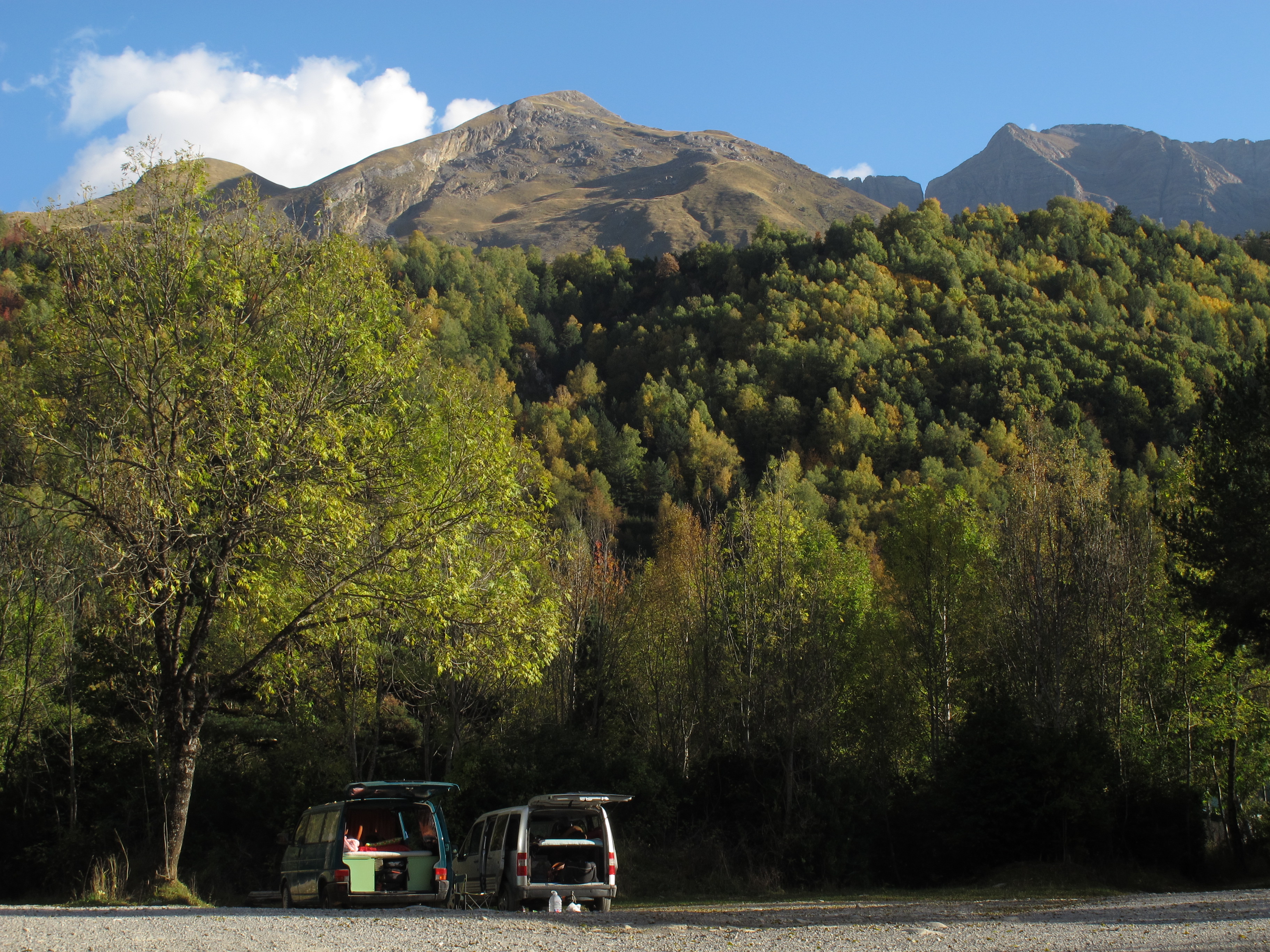 Foratata Alba 2 (1)