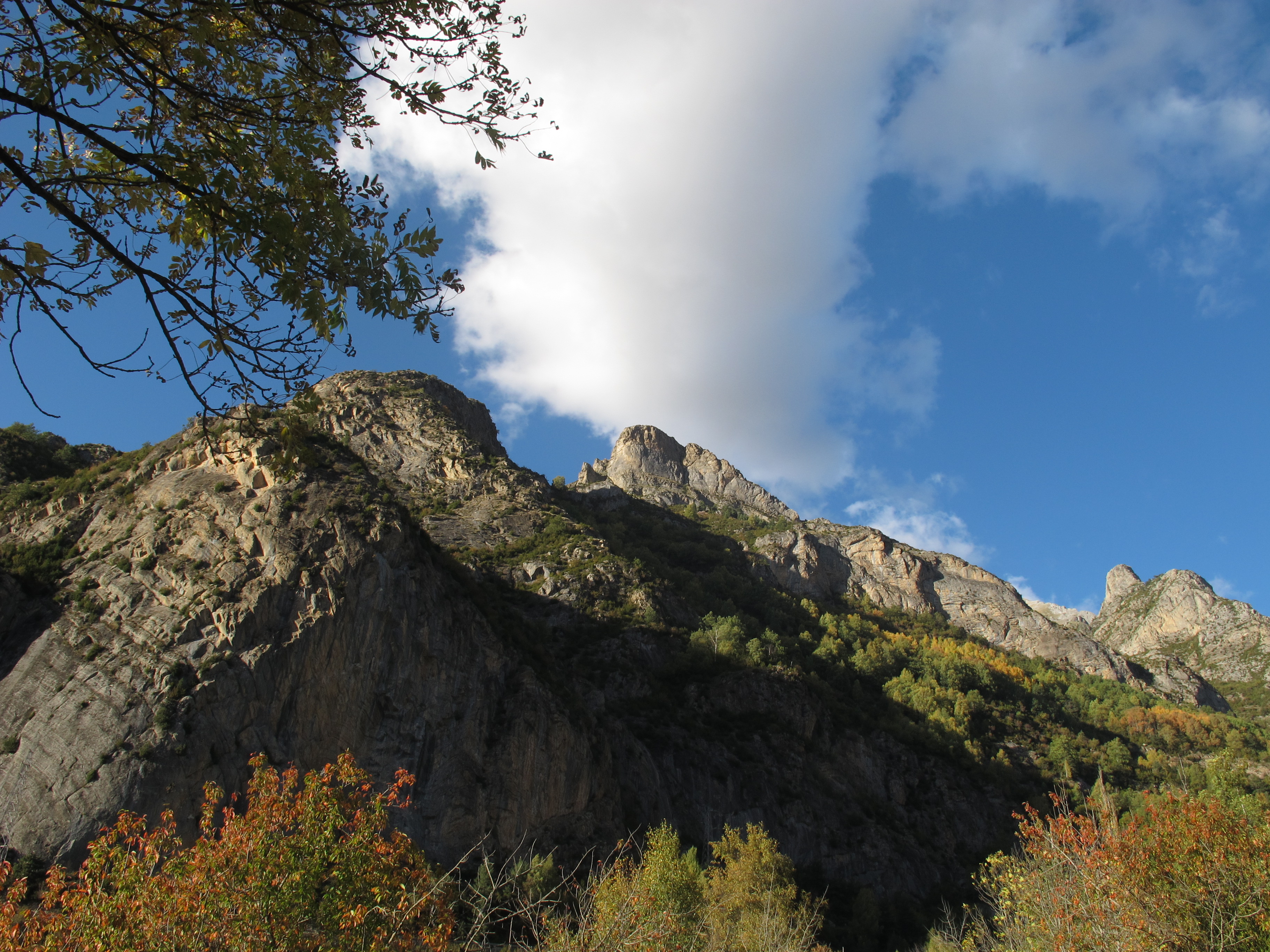 Foratata Alba 2 (16)