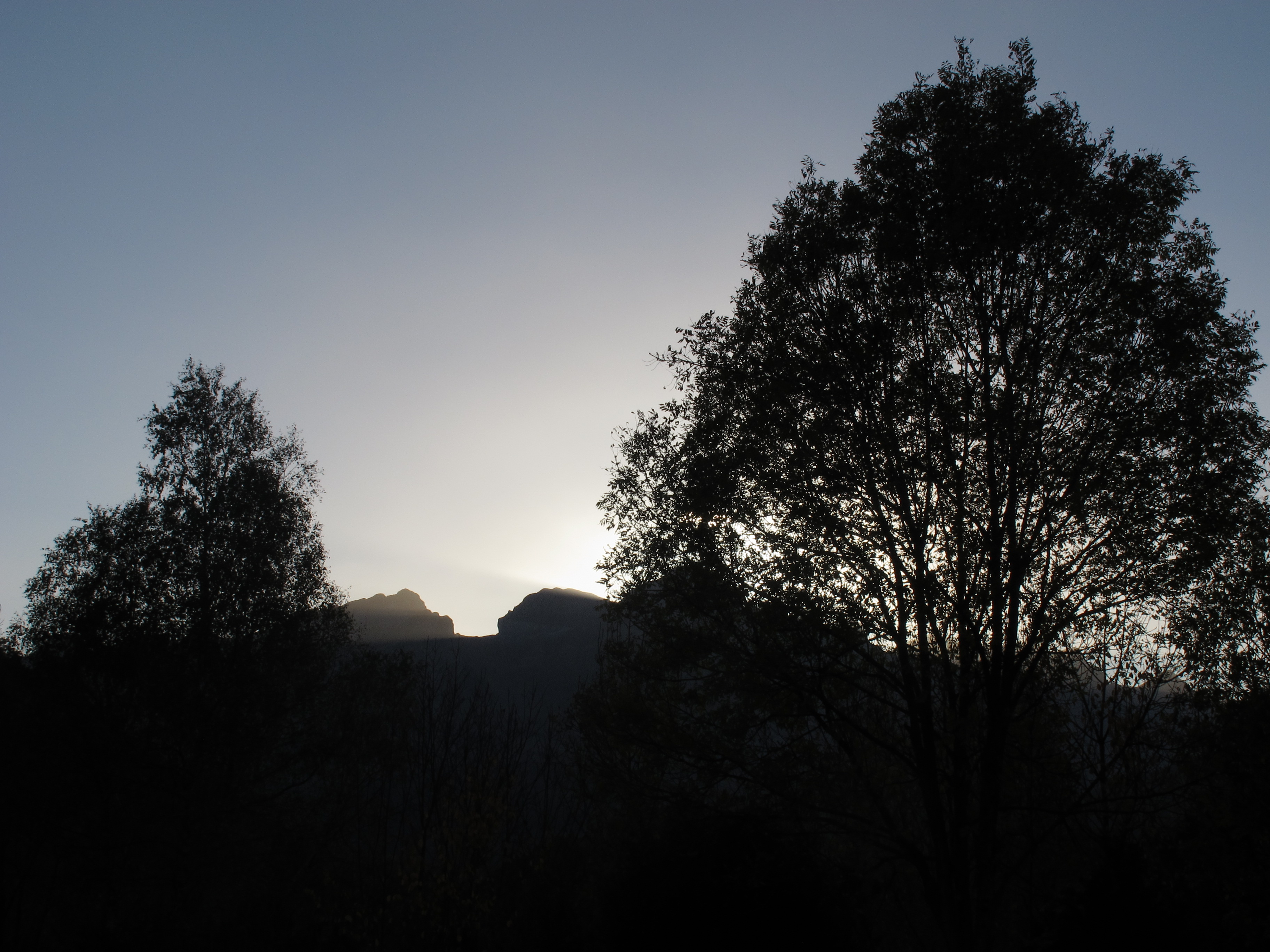 Foratata Alba 2 (7)