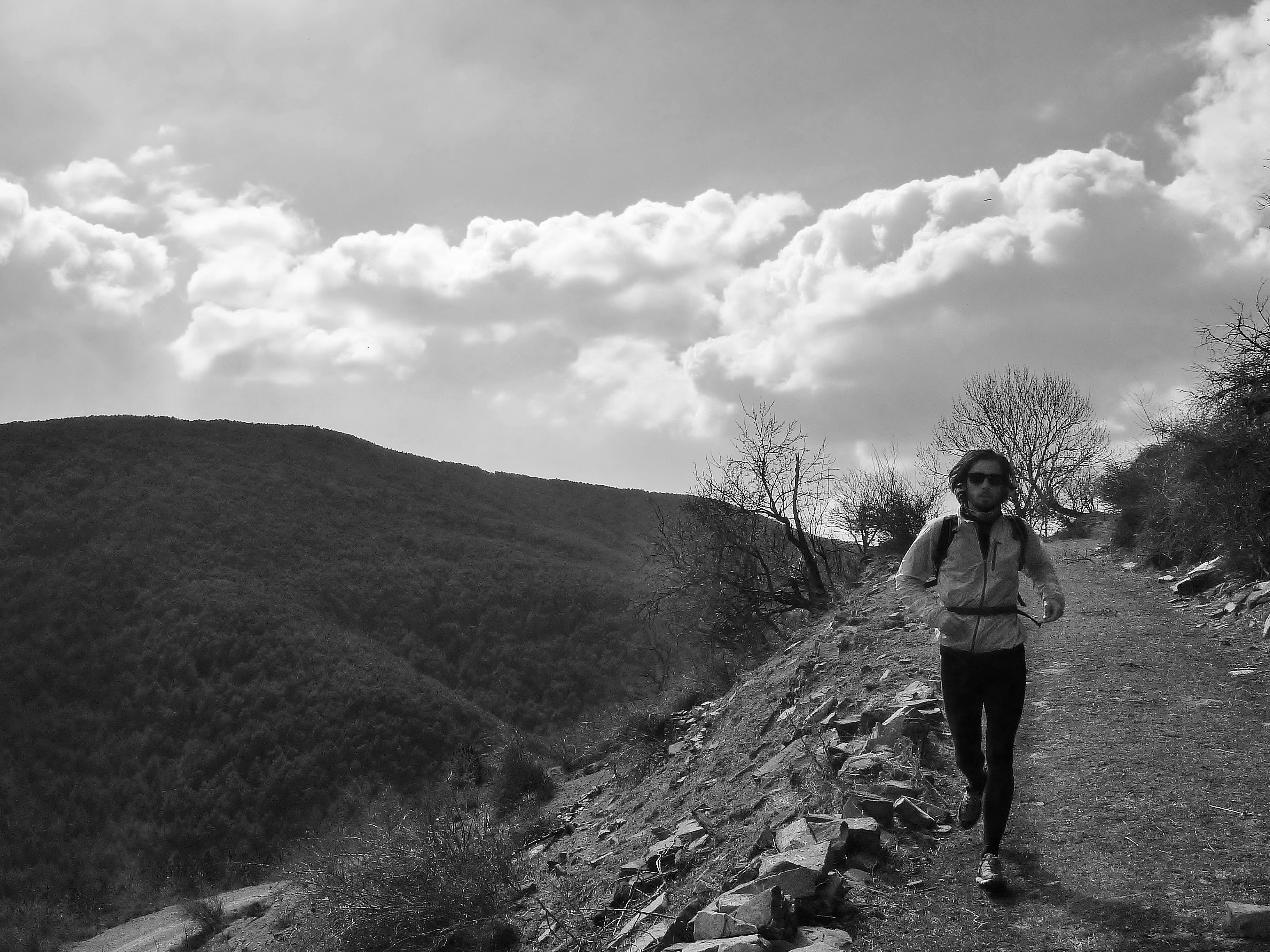 Cenarbe (3)