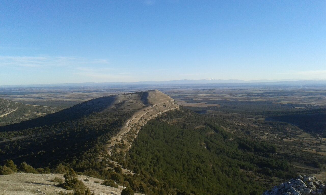 Pedri y Valdosa (14)